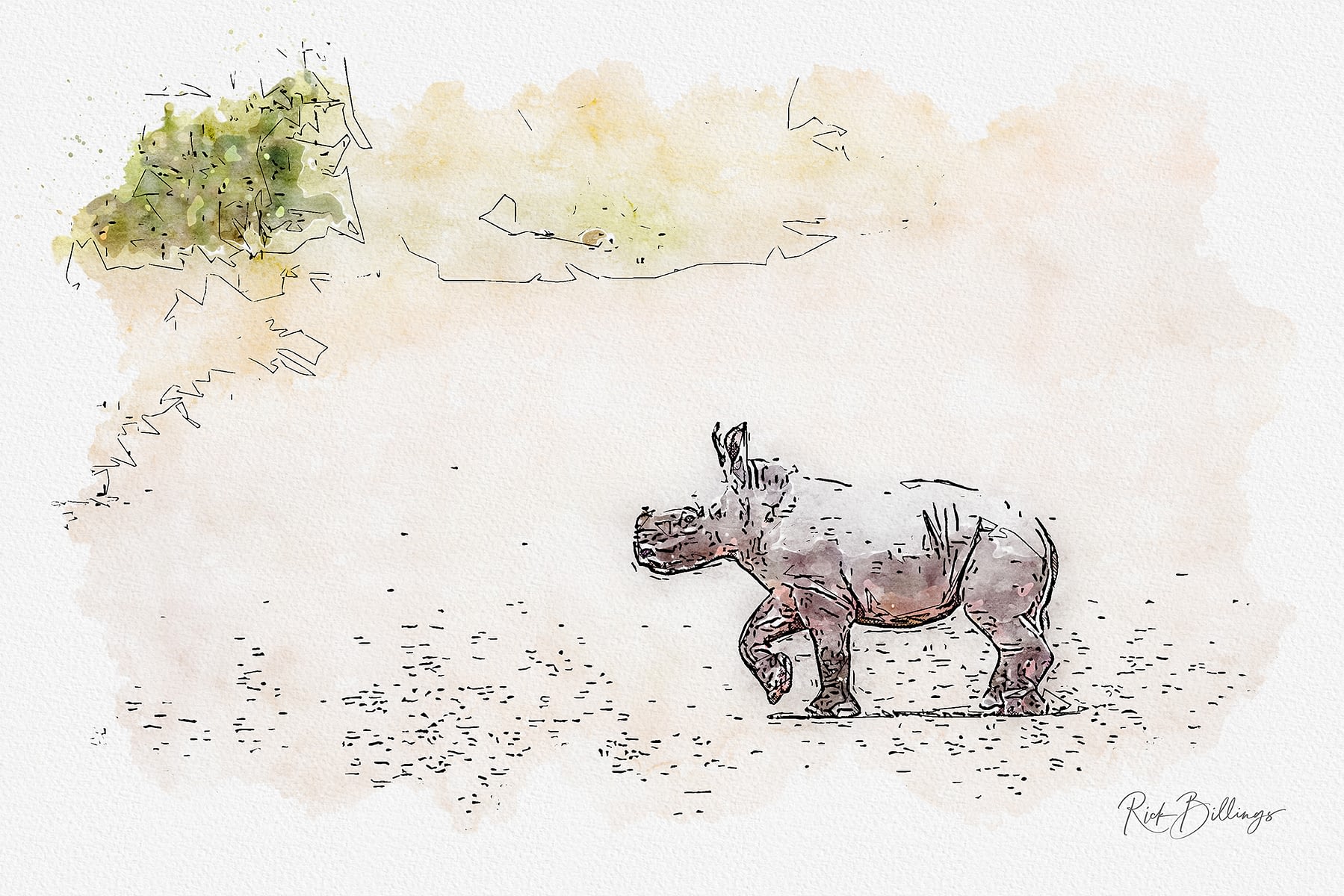 No 1148 2019 Baby Rhino No 1148 2019 Baby Rhino