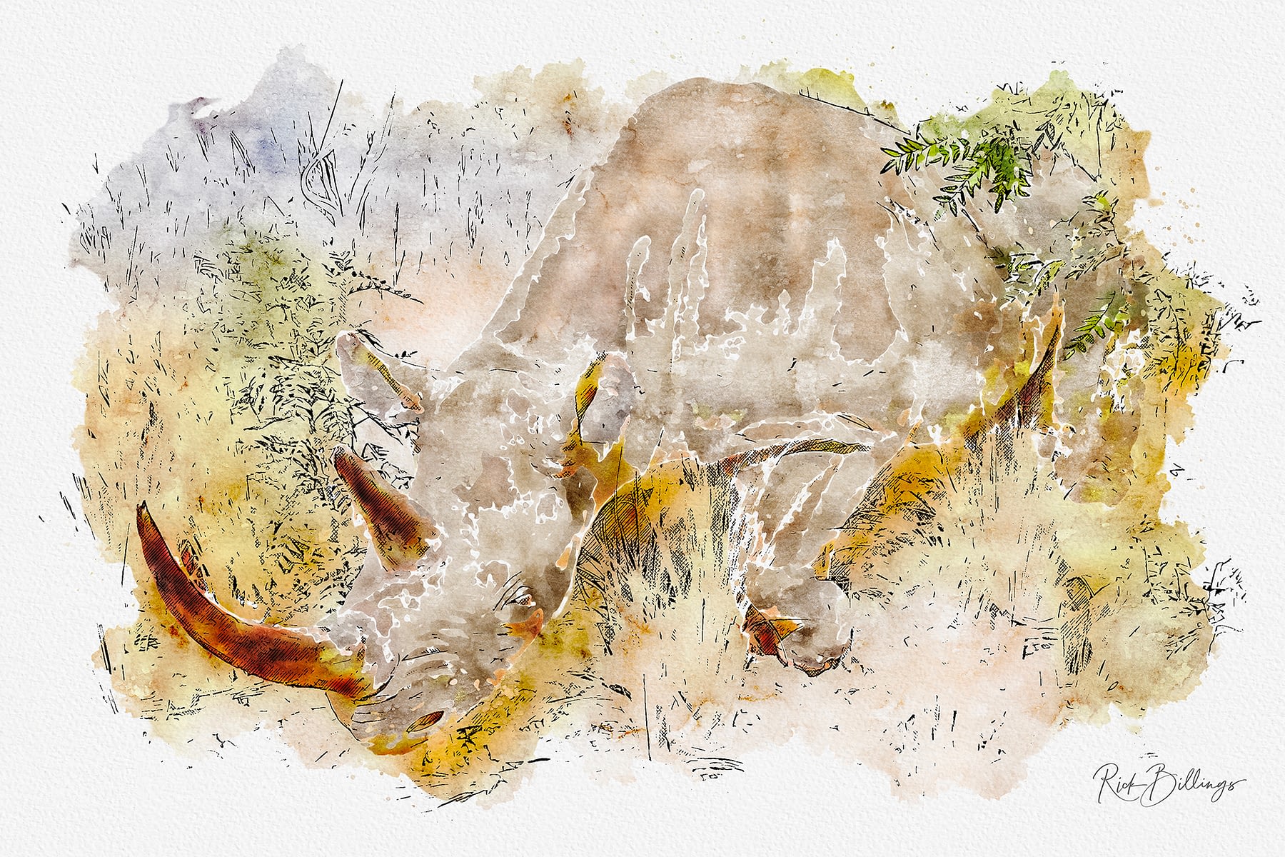 No 1147 2019 Rhino No 1147 2019 Rhino